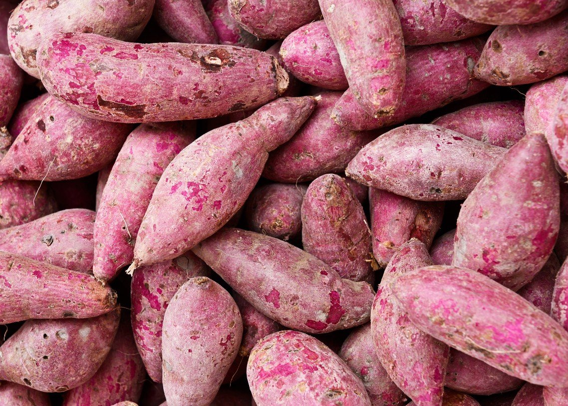 PT SUMBER ALAM KEPRI - UBI 3