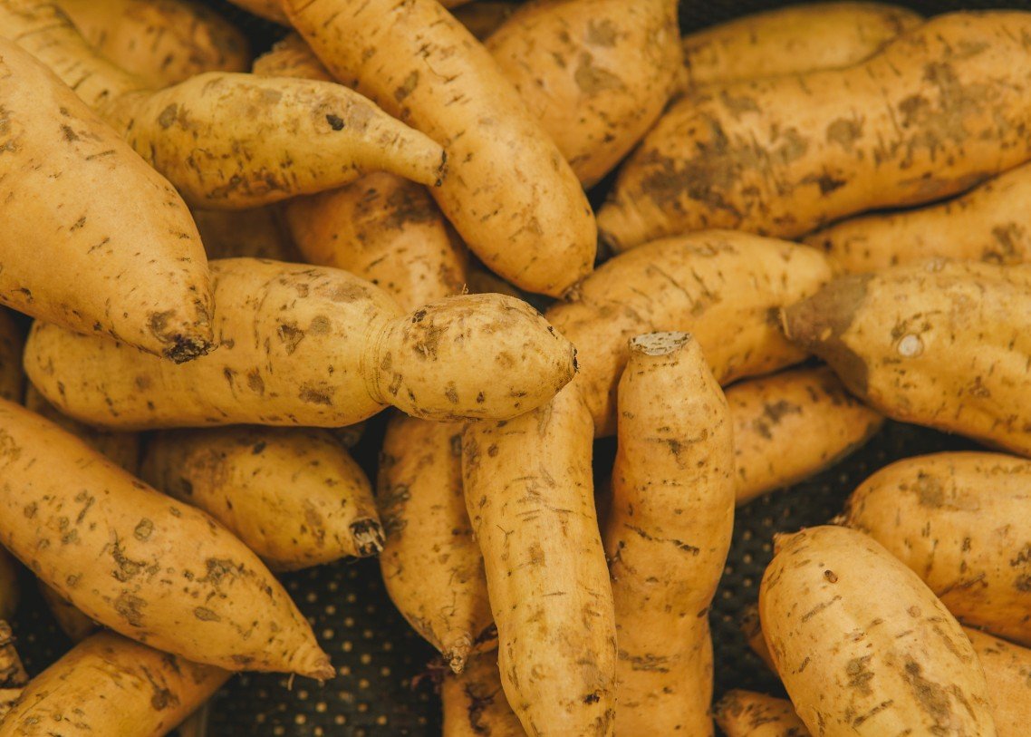 PT SUMBER ALAM KEPRI - UBI 5